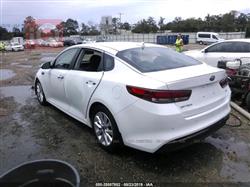 کیا ئۆپتیما